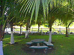 Imagen de una mesa con sillas de cemento